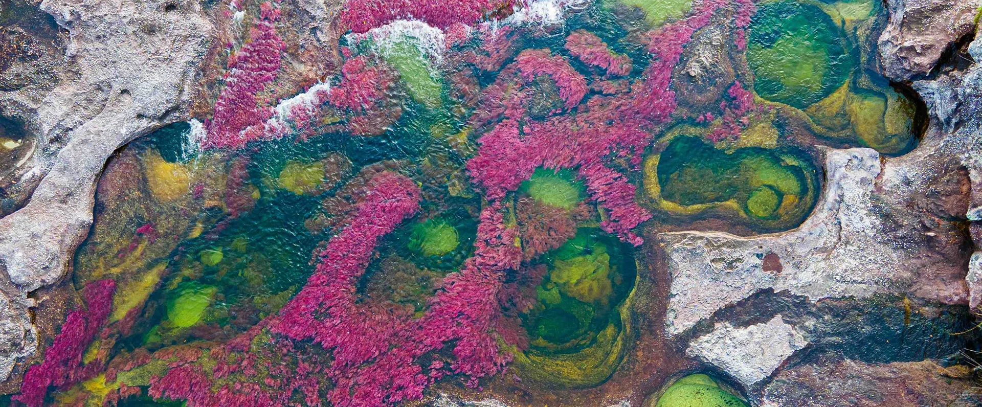 Plan a Caño Cristales