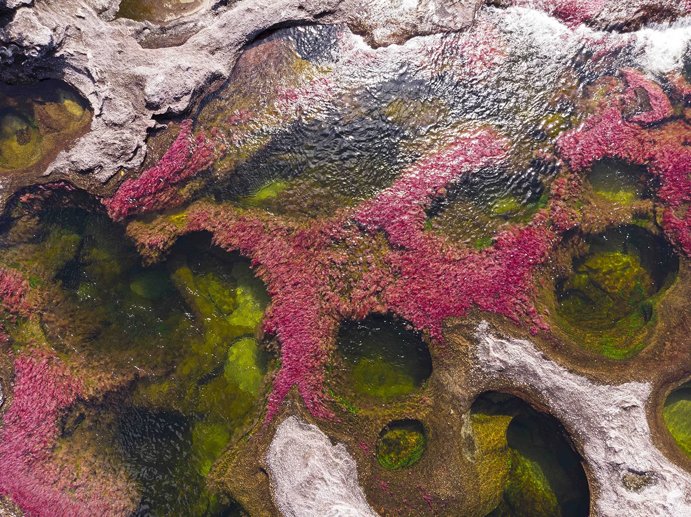 Caño cristales, el río de los 7 colores en La Macarena, Meta, Colombia.